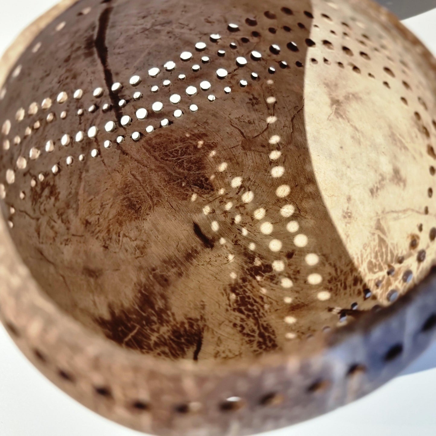 Moonshell Lantern – by Love Warriors