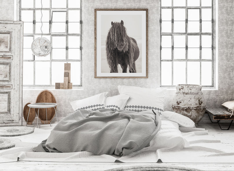 Black Wild Horse – From the Horses of Sable Island Collection