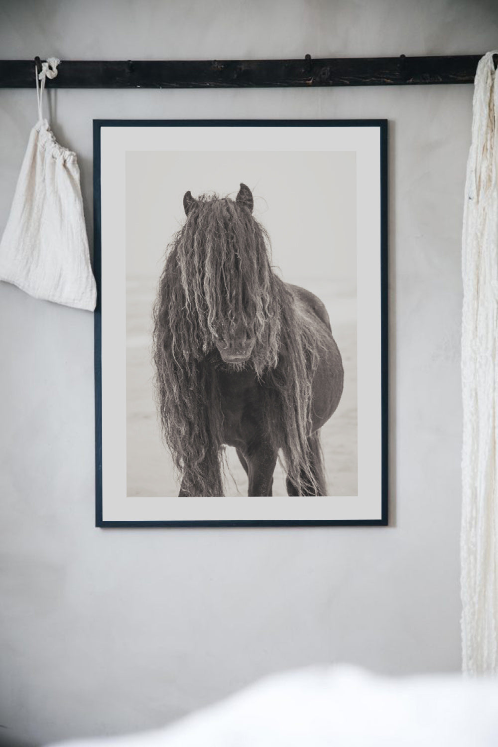 Black Wild Horse – From the Horses of Sable Island Collection