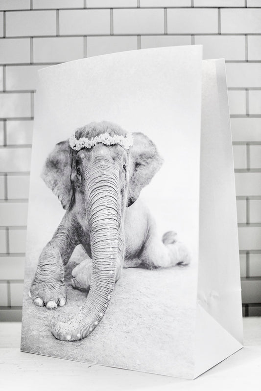 Elephant Sweetest Adele – Paper Bag with Wisdom