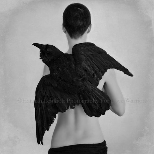 Ravens Ladder - for those who climb quietly