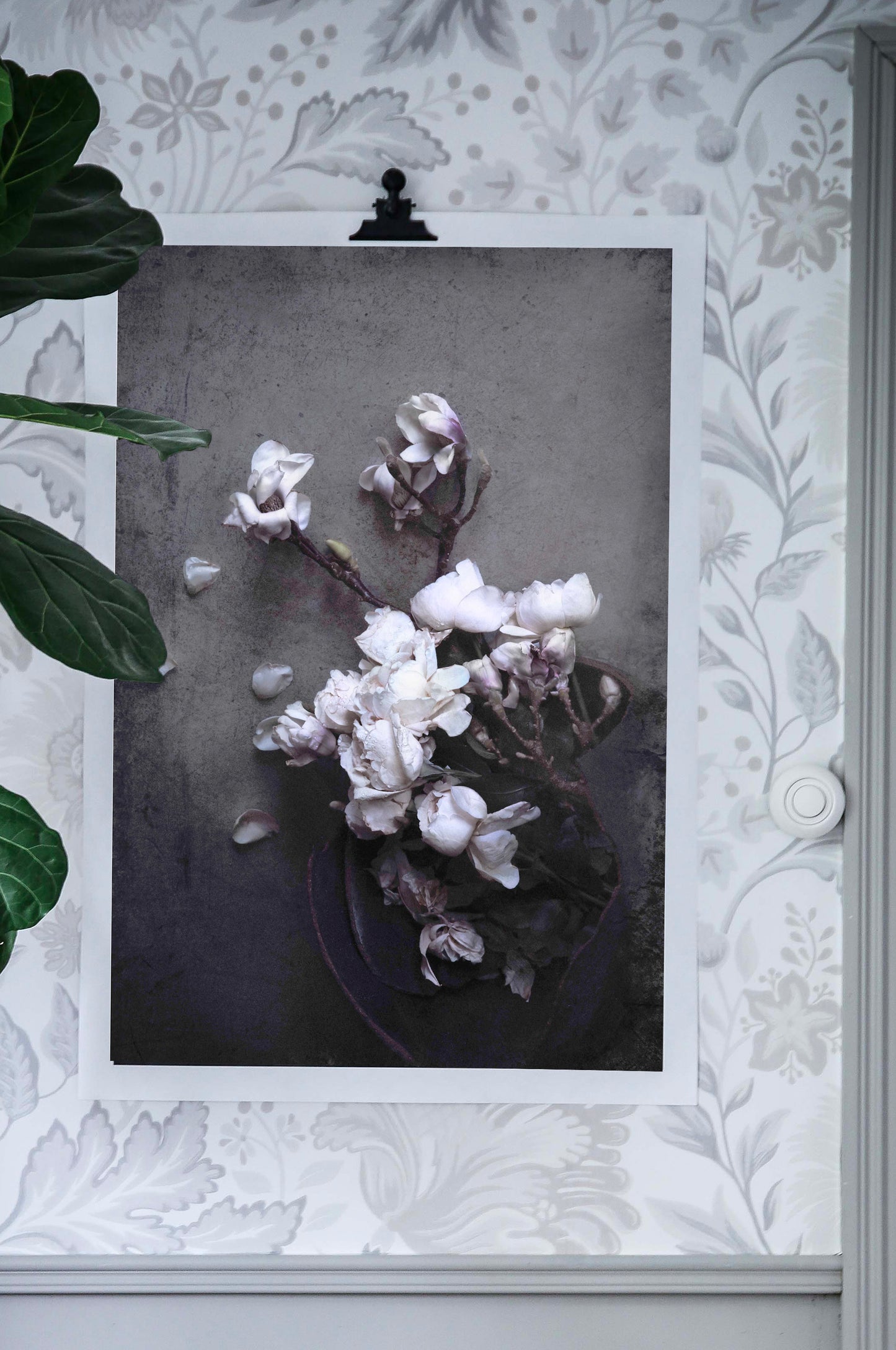 Isolde – Magnolia and roses