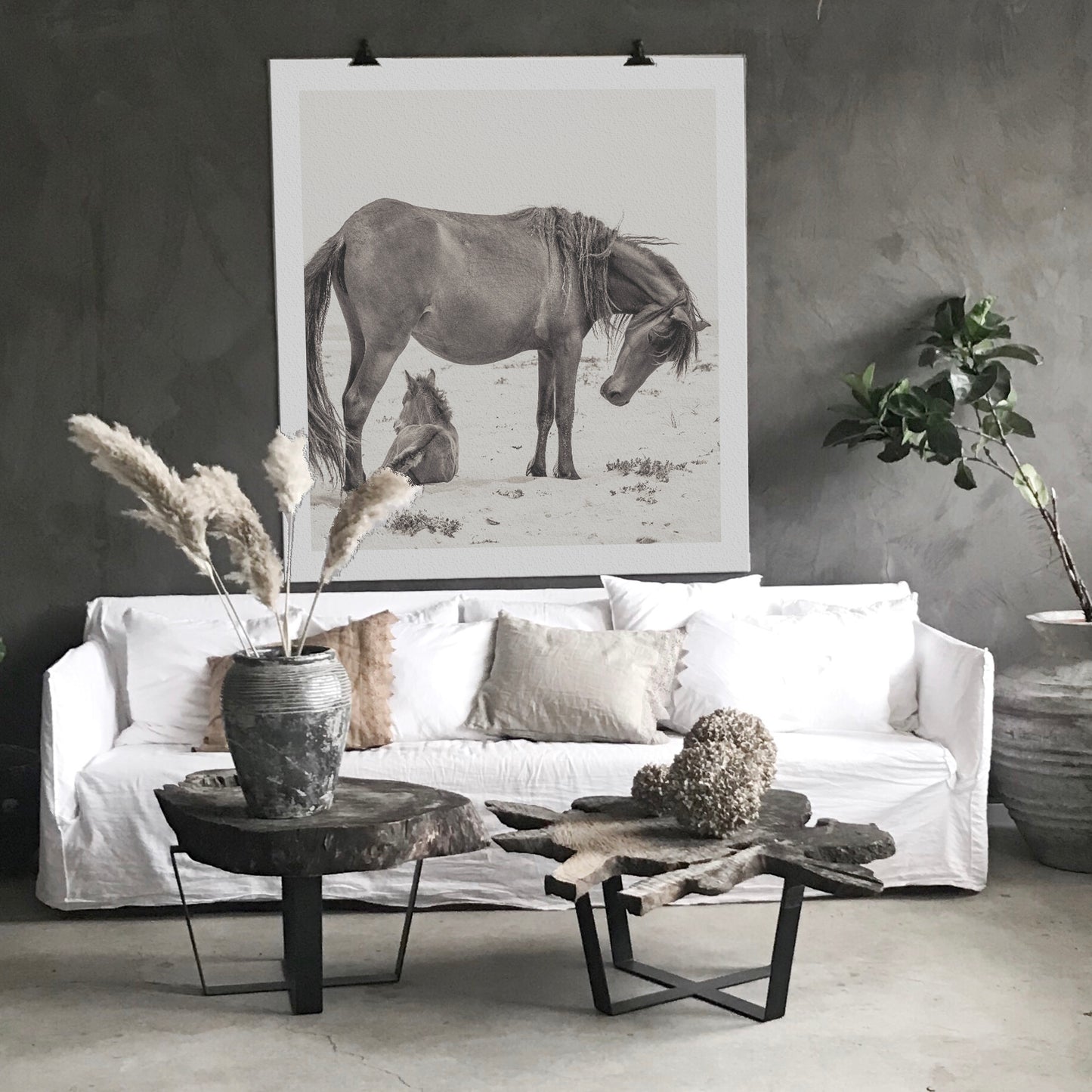 Wild Horse with Foal – From the Horses of Sable Island Collection