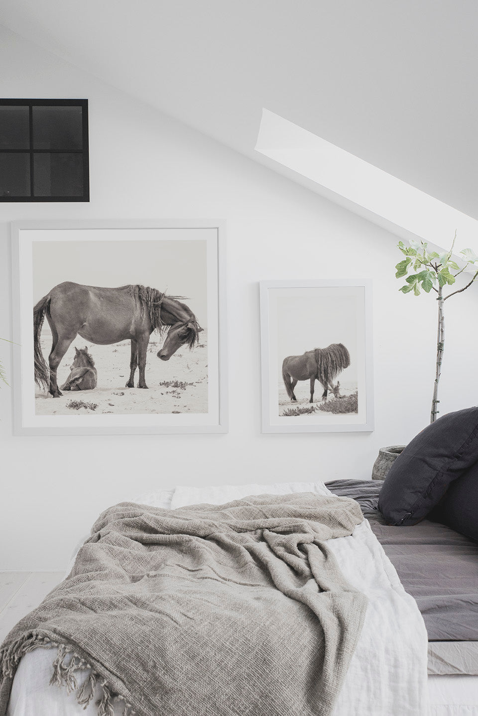 Horse with Long Mane – From the Horses of Sable Island Collection