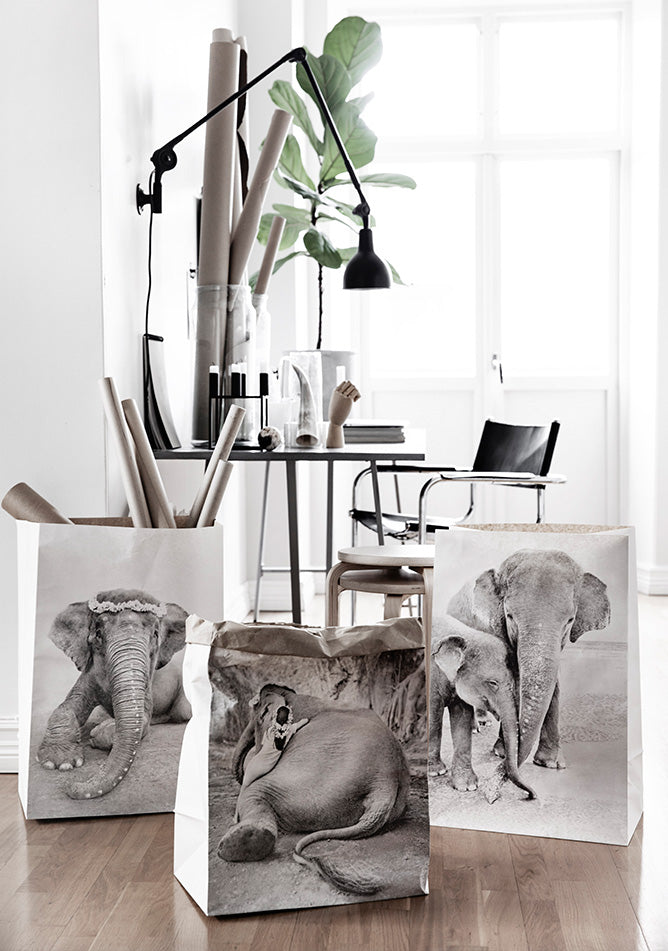 Paper Bag Adele and Ketut