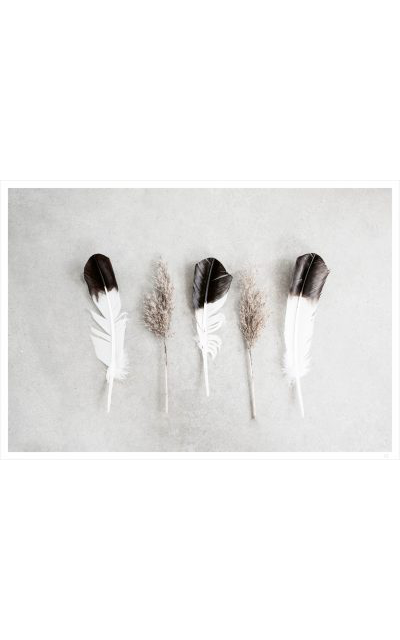 Dry reeds and feathers