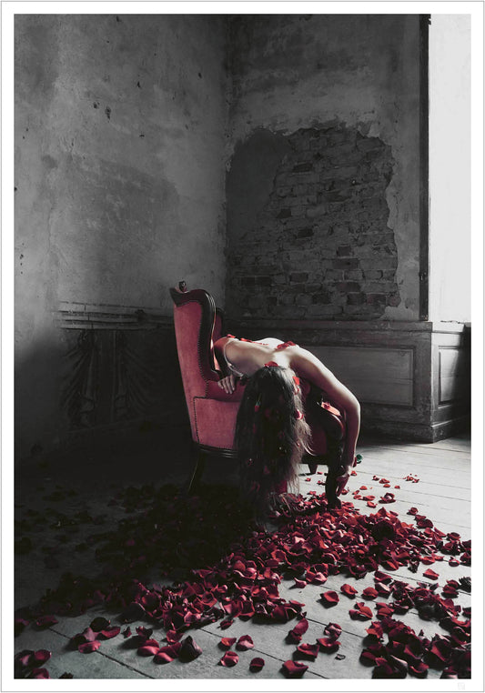 Flower and Sofa
