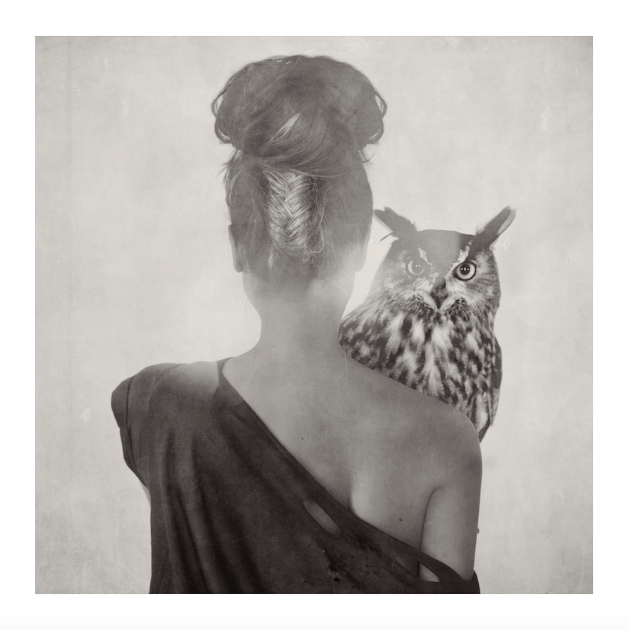 History of the Senses – From the Bird Series