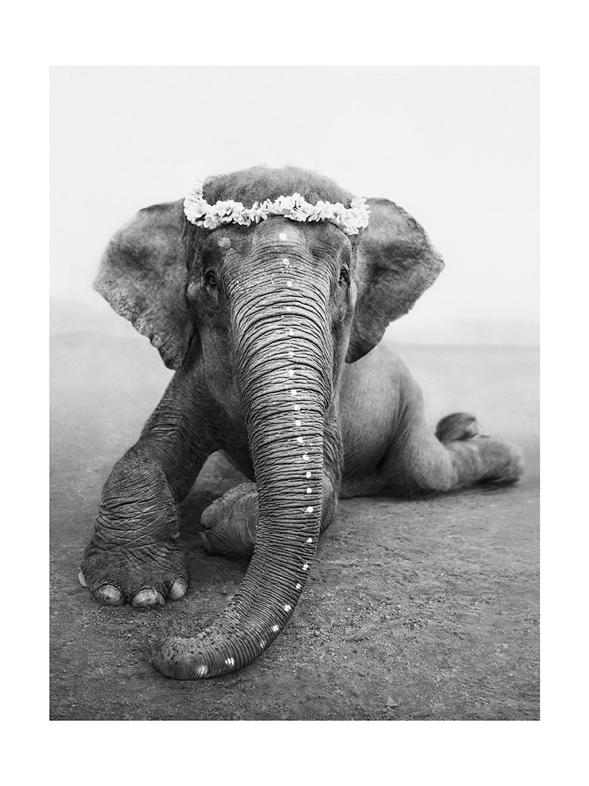 Sweetest Adele – A Portrait of Grace and Quiet Strength