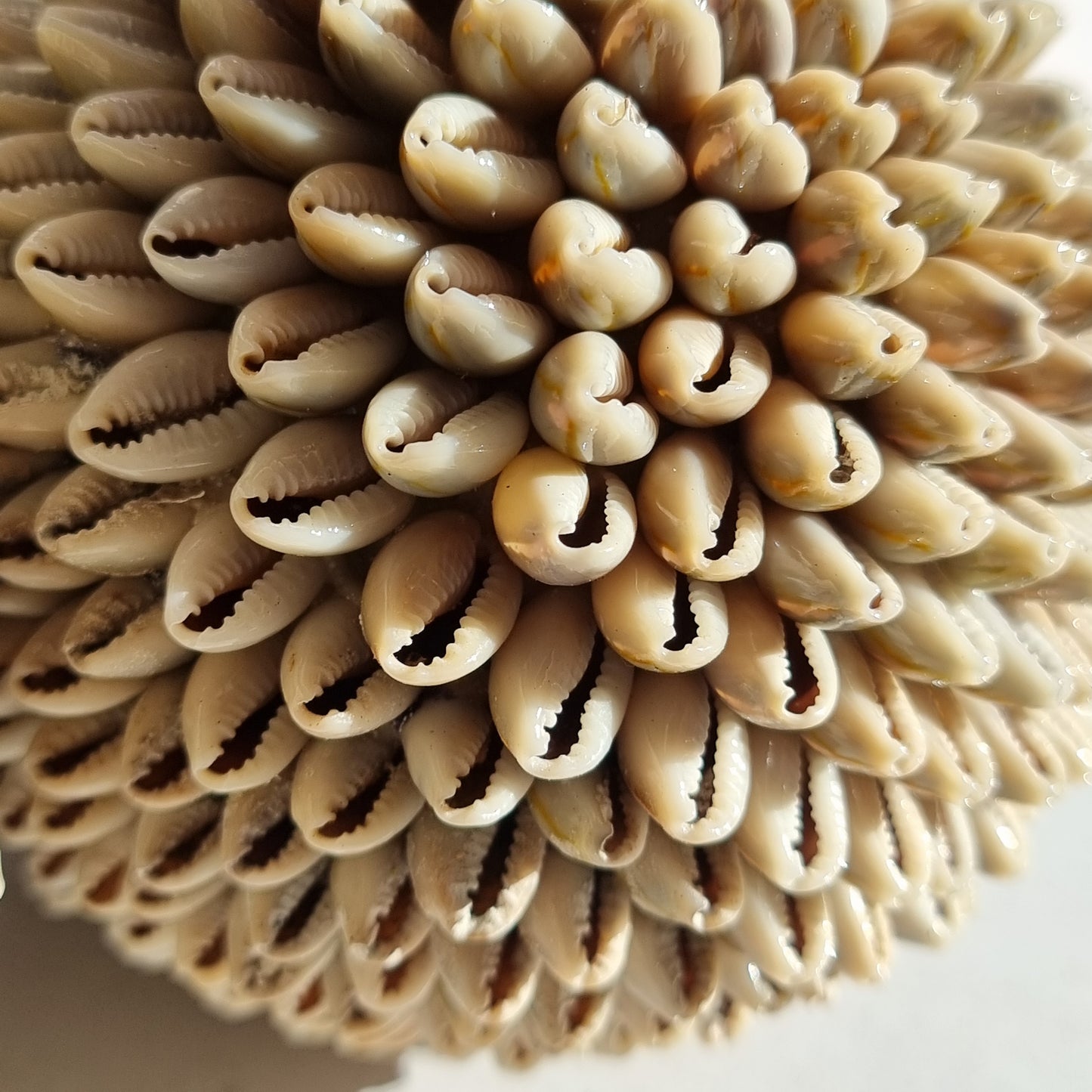 Shell Spheres
