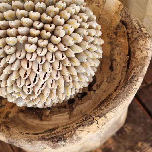 Shell Spheres