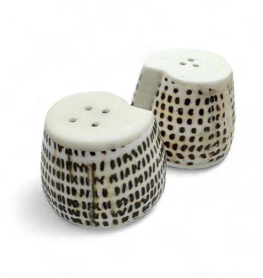 Salt and Pepper shaker