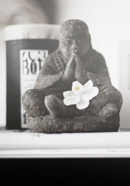 Black Shaolin Monk – Stillness in Stone