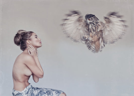 Feathers