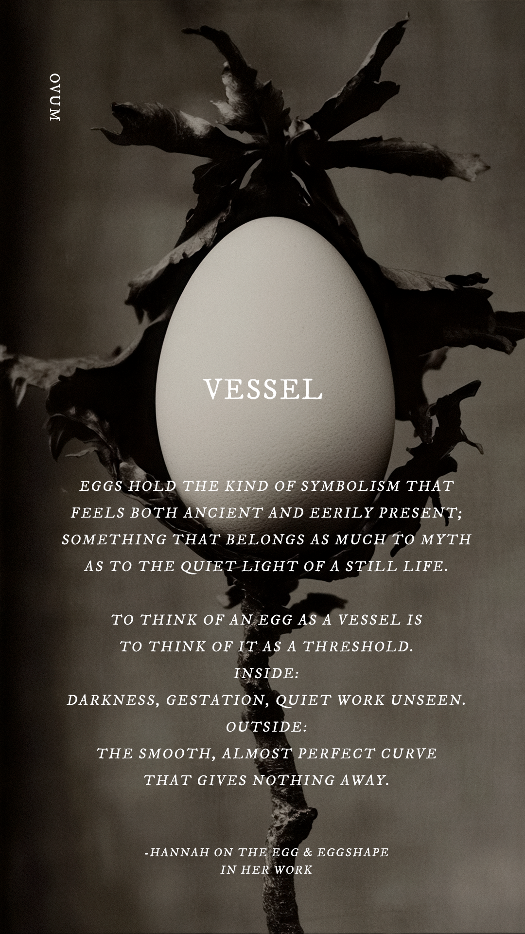 VESSEL