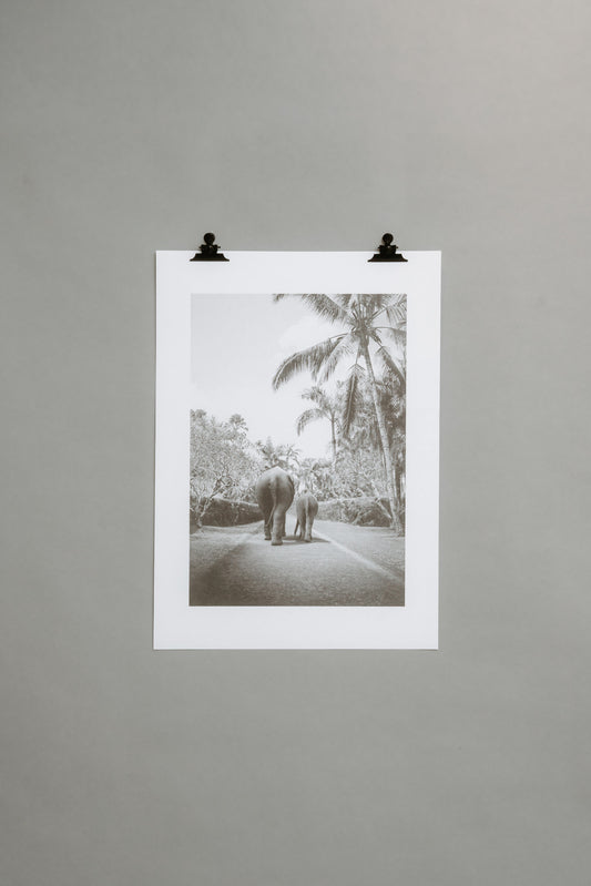 The Elephant Walk - Don’t Gain the World and Lose Your Soul