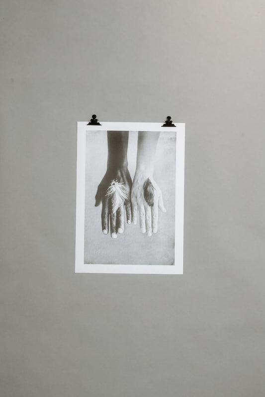 Fidelity – A Bond Beyond Words