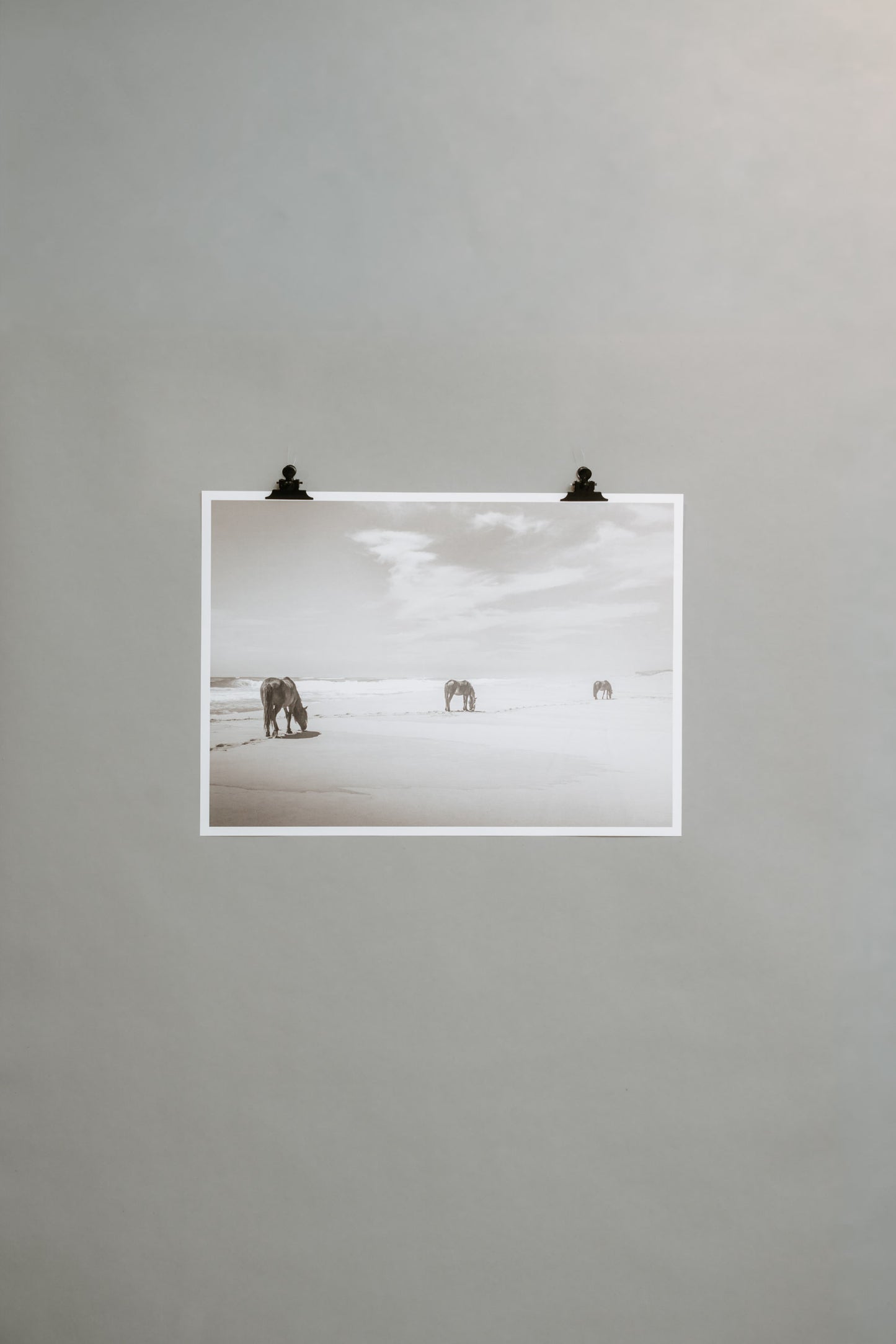 Three Horses on the Beach