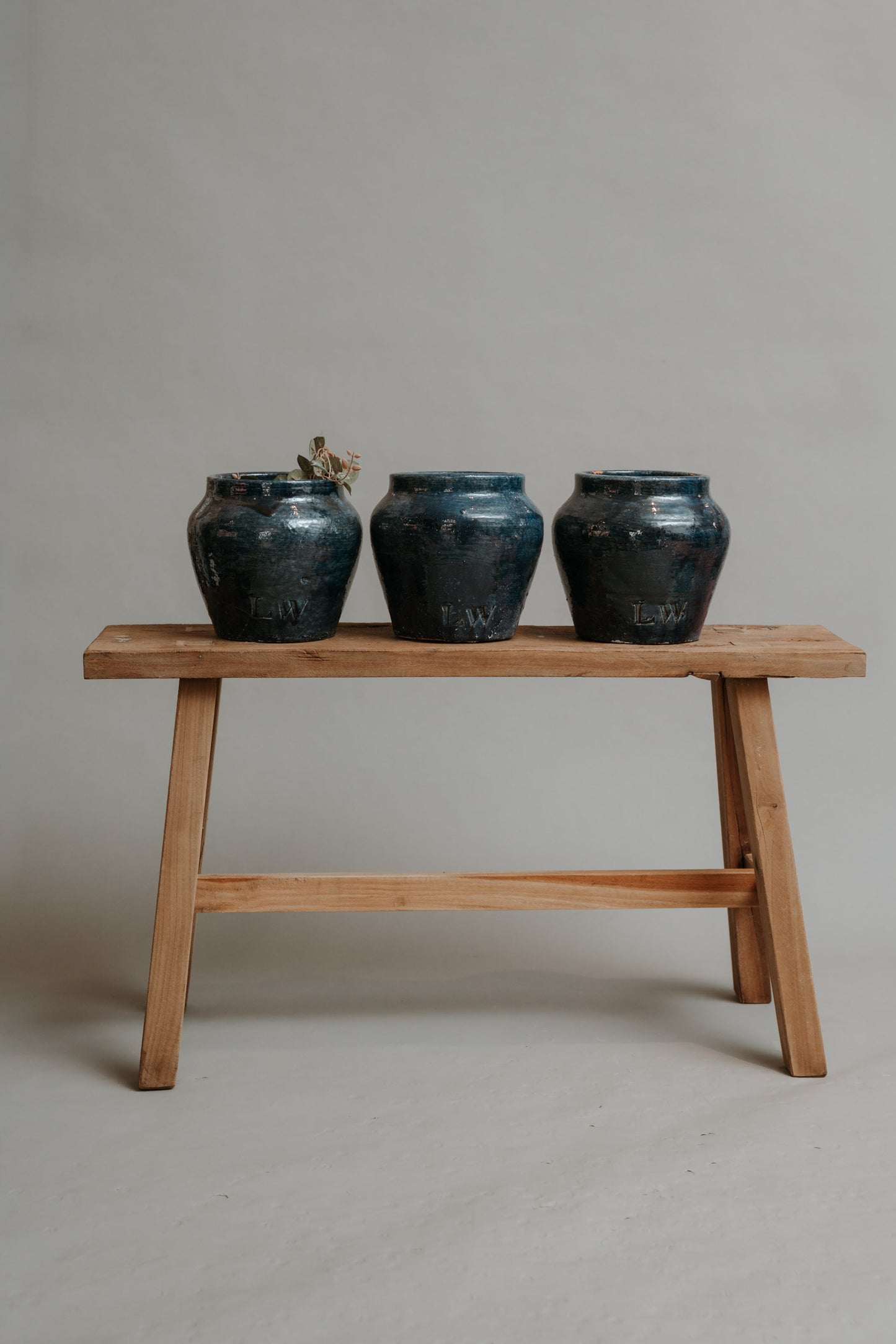 The Warrior Pot – A New Classic in Color