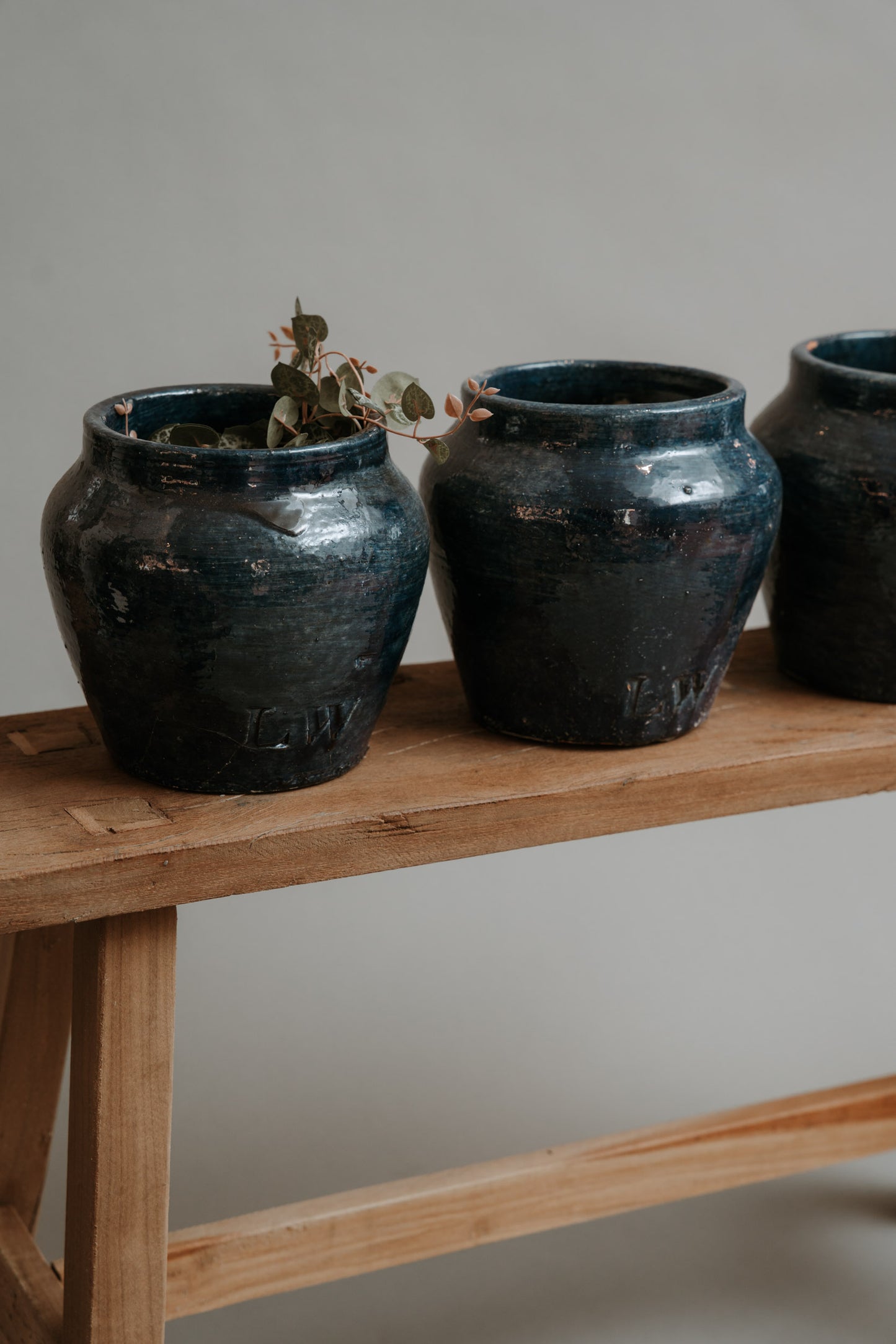 The Warrior Pot – A New Classic in Color