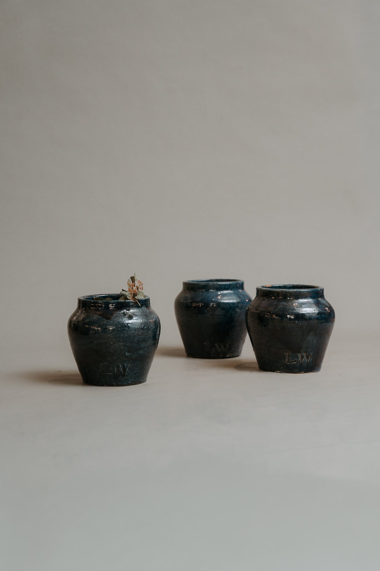 The Warrior Pot – A New Classic in Color