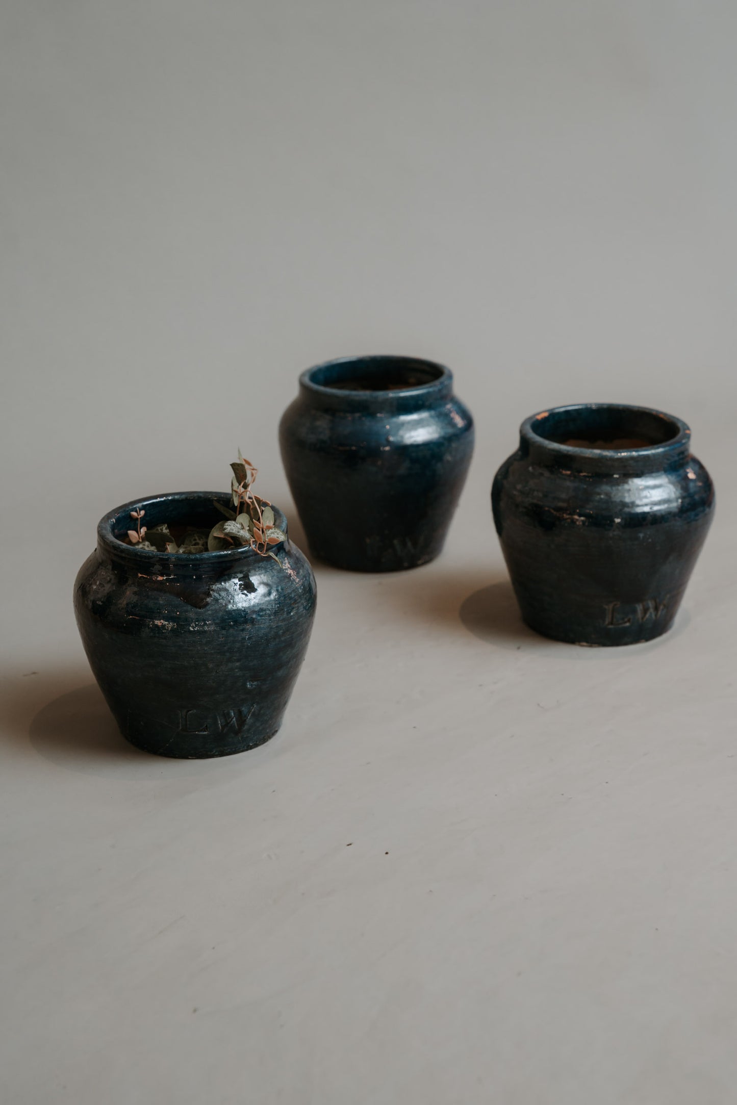 The Warrior Pot – A New Classic in Color