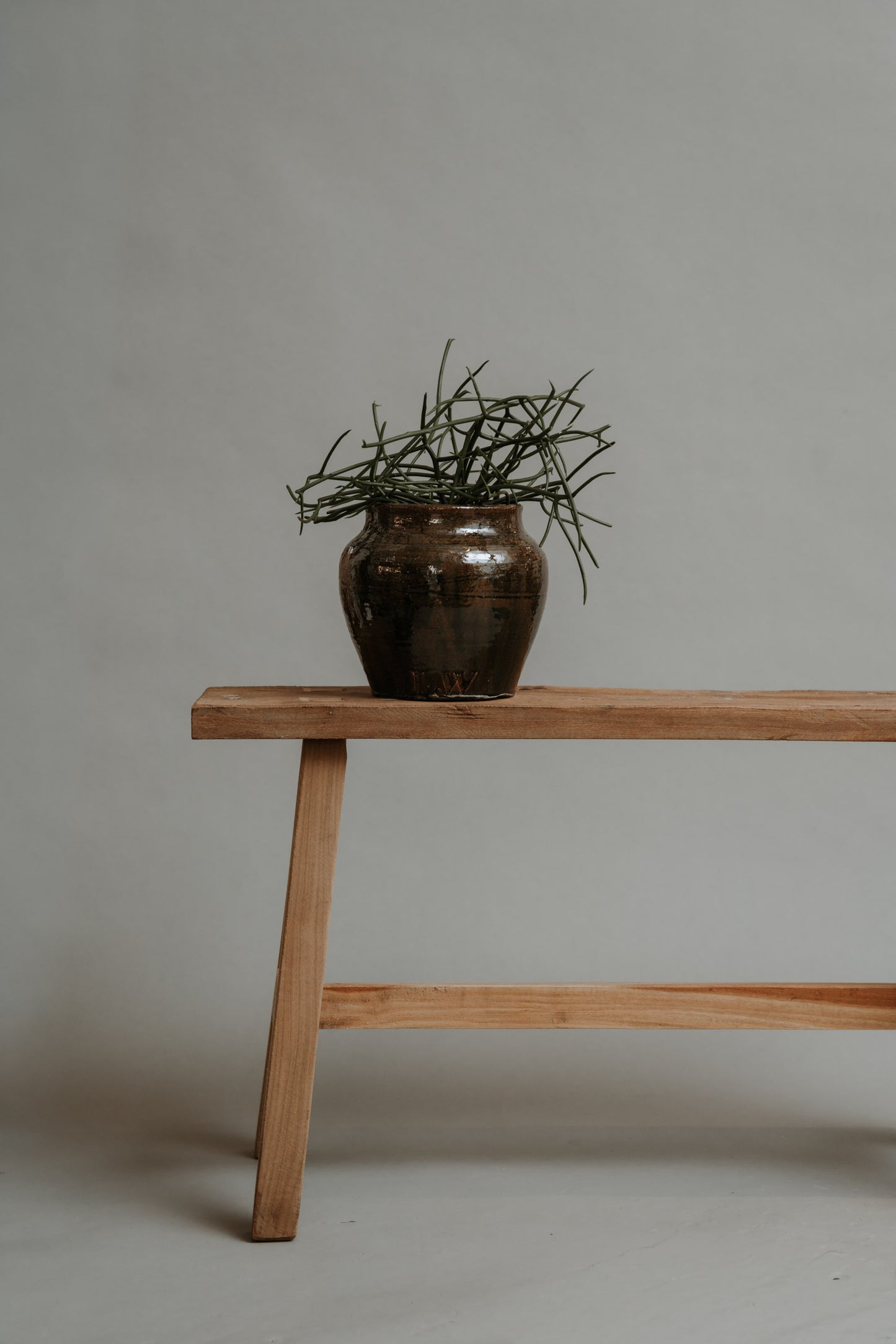 The Warrior Pot – A New Classic in Color