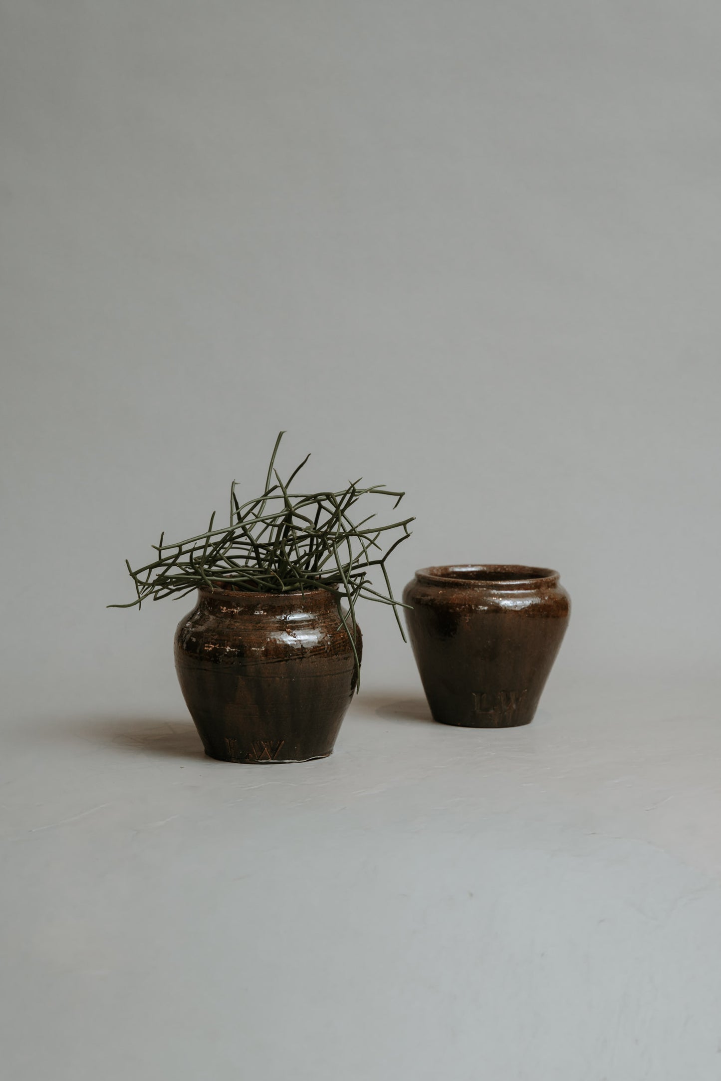The Warrior Pot – A New Classic in Color