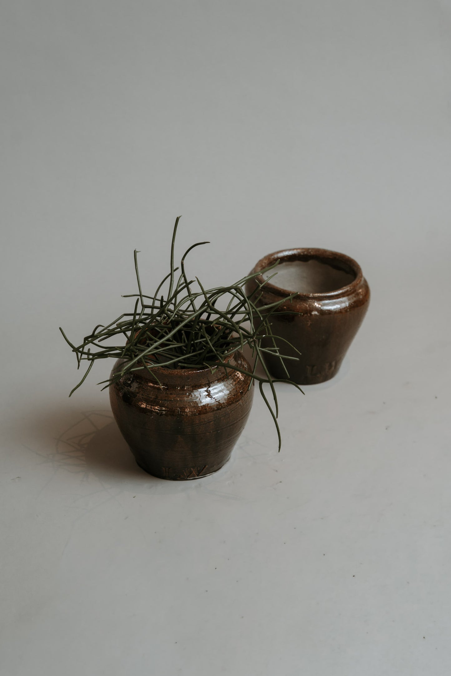 The Warrior Pot – A New Classic in Color