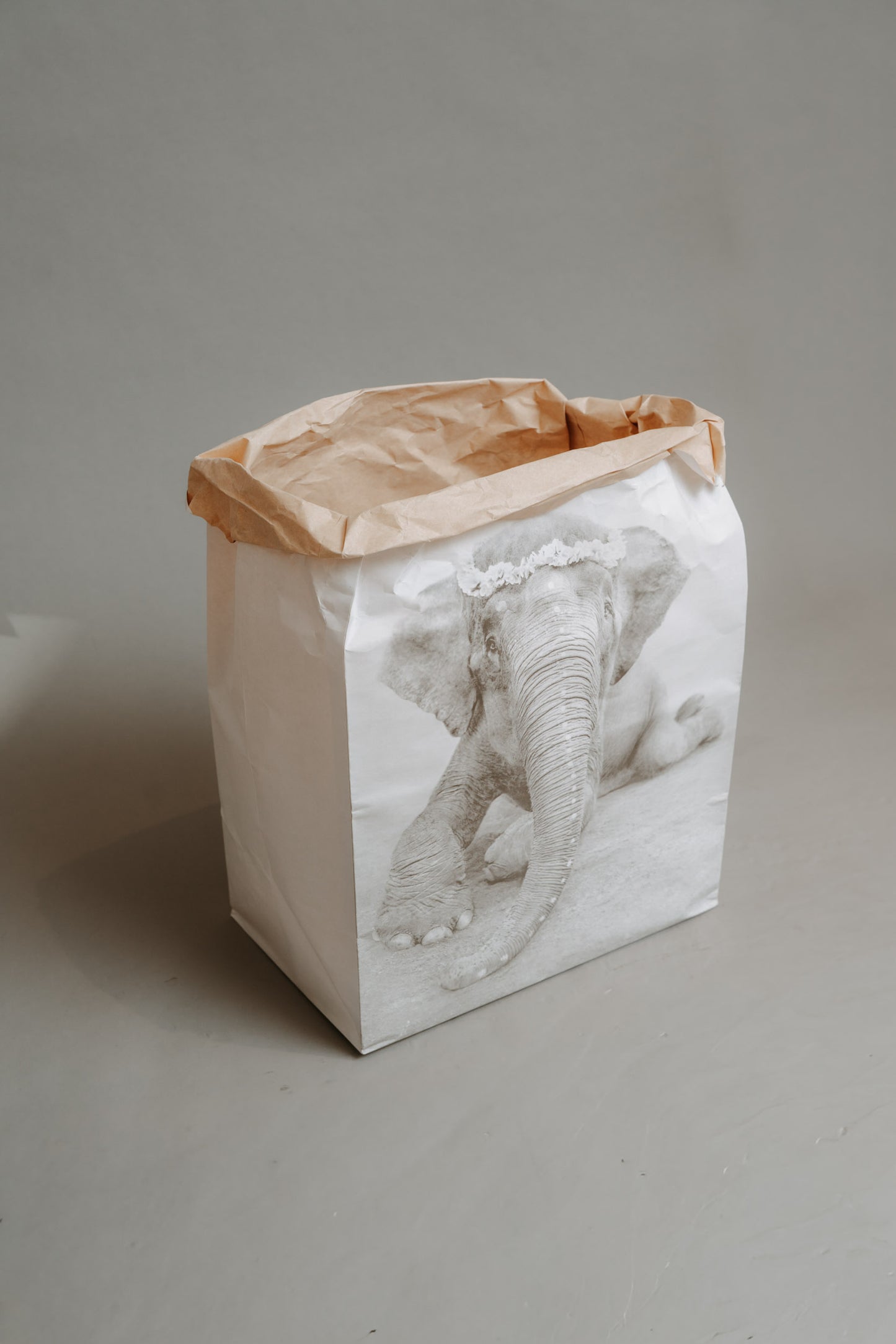 Elephant Sweetest Adele – Paper Bag with Wisdom