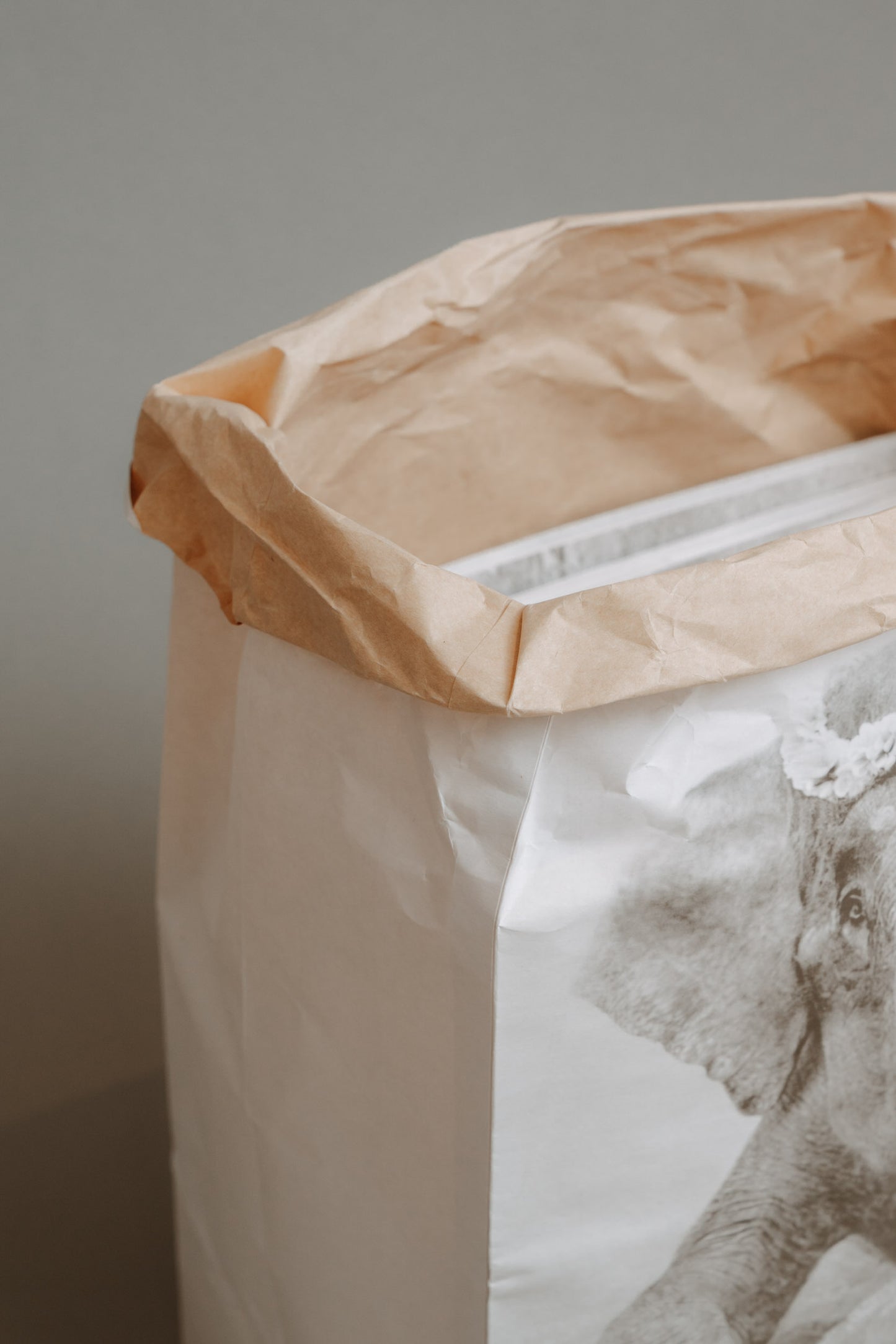 Elephant Sweetest Adele – Paper Bag with Wisdom