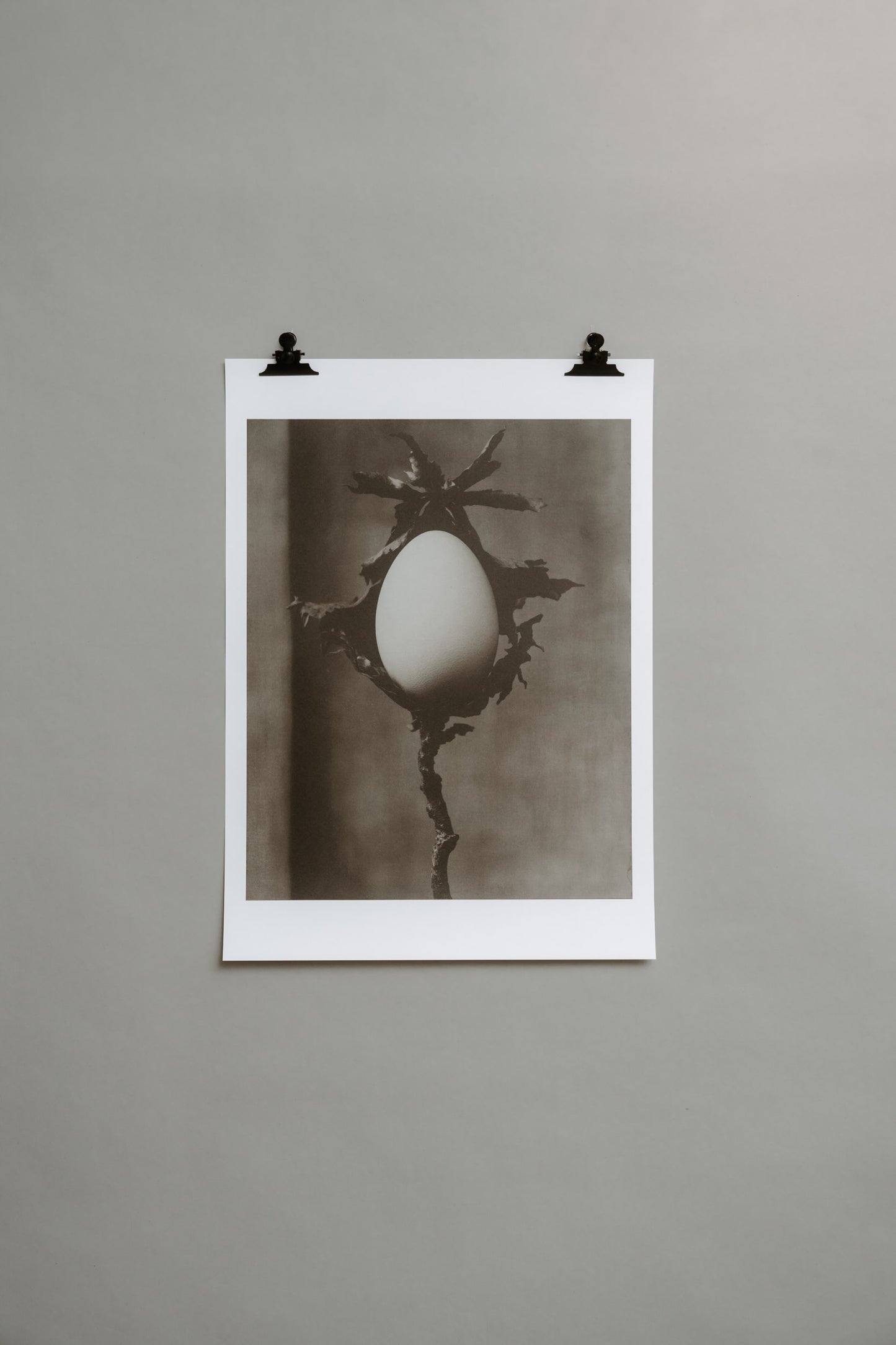 VESSEL