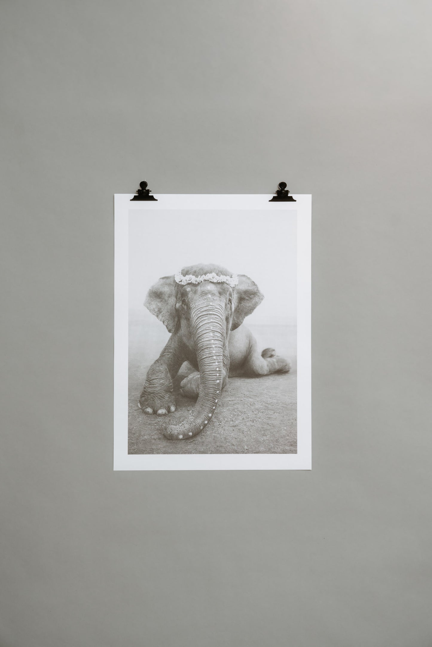 Sweetest Adele – A Portrait of Grace and Quiet Strength