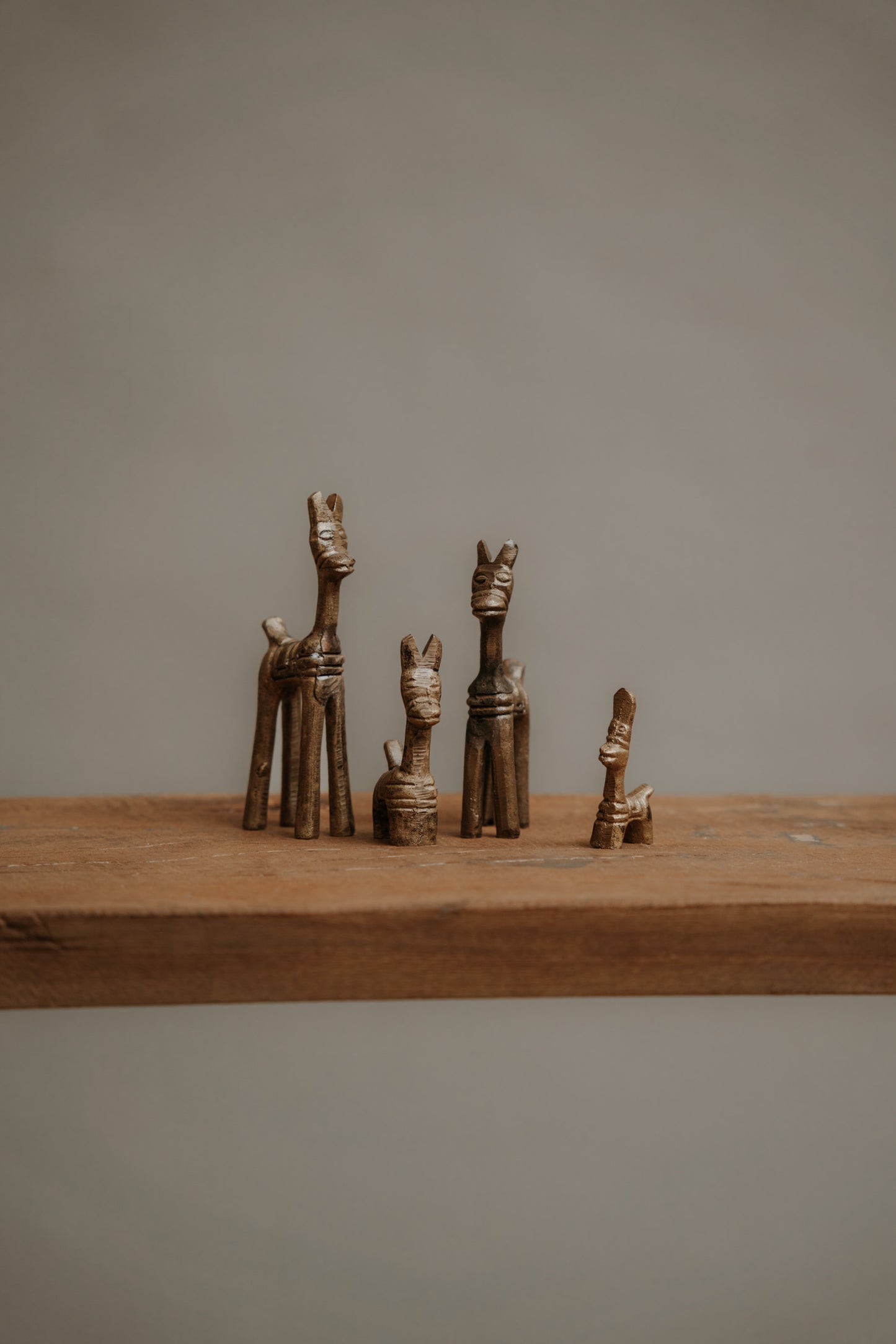 Lucky Animal – the golden guardians of fortune