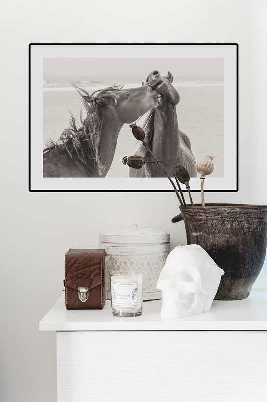 Horse Love - From the Horses of Sable Island Collection