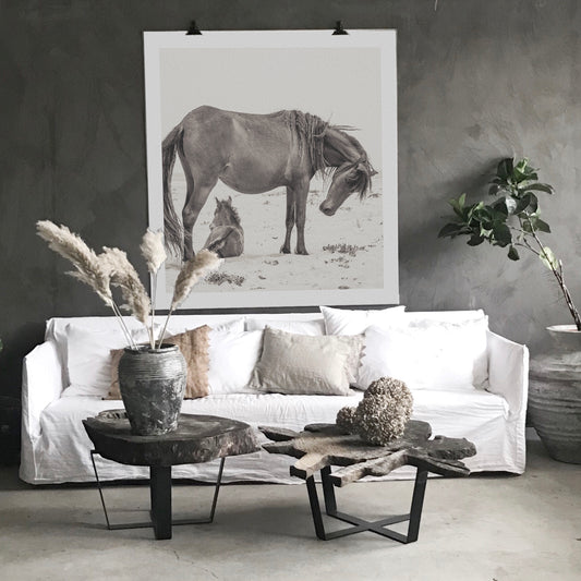 Wild Horse with Foal – From the Horses of Sable Island Collection