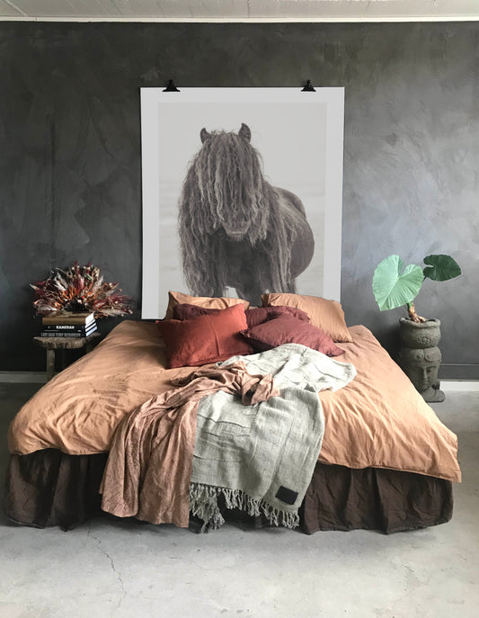 Black Wild Horse – From the Horses of Sable Island Collection