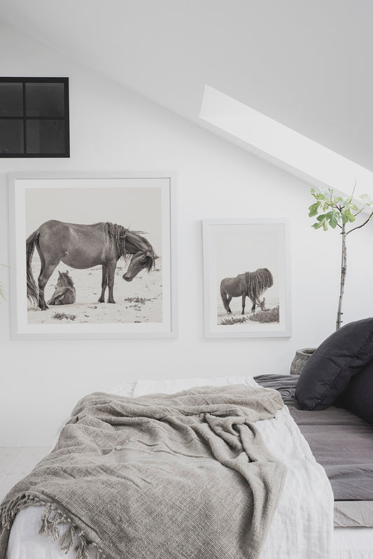 Art Wall – Wild Stillness