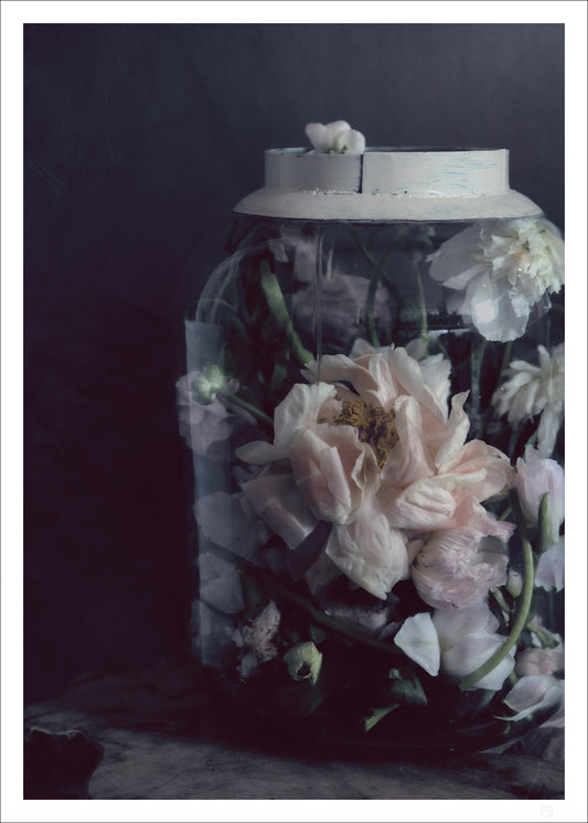 Flowers in a glass jar