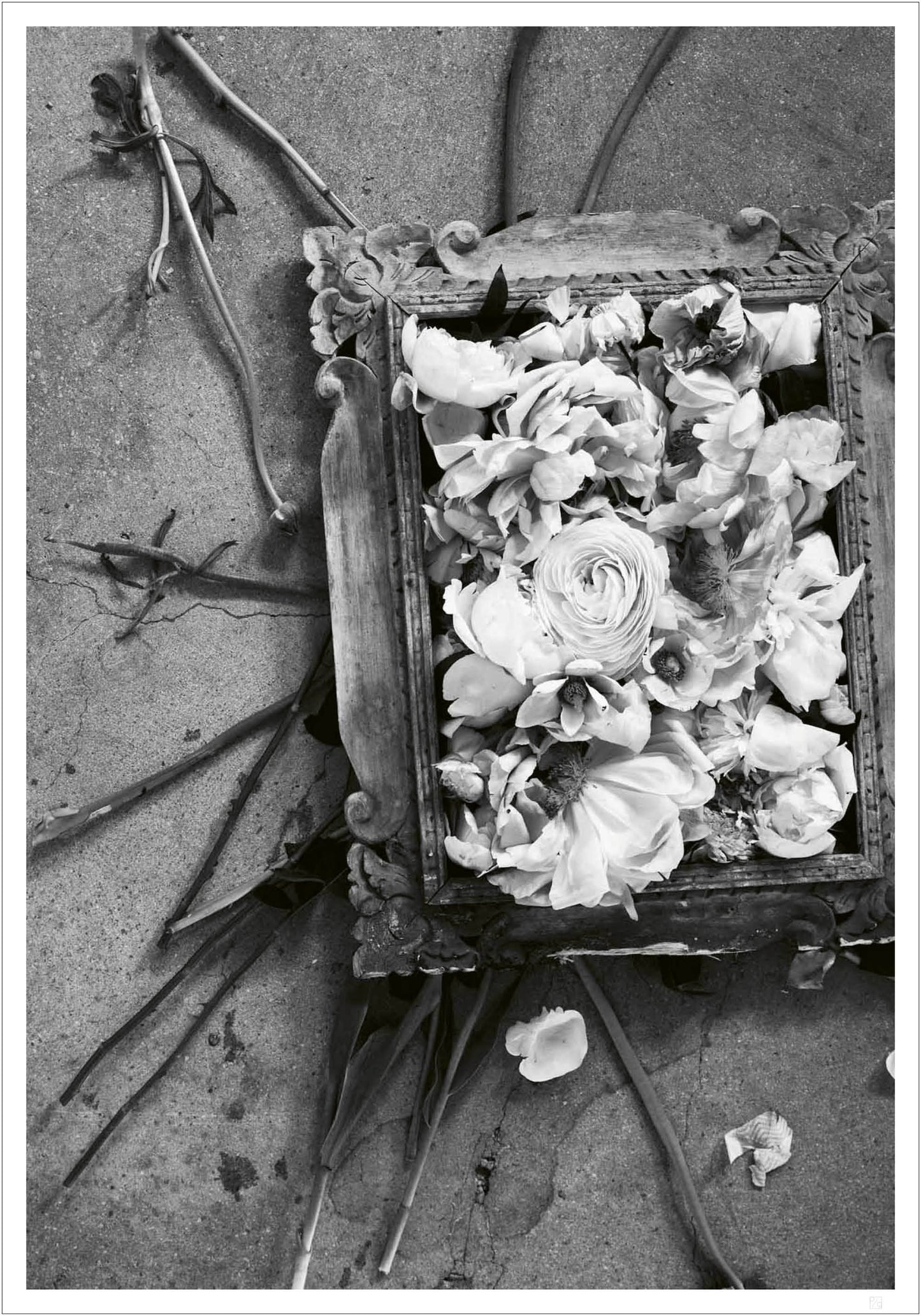 Flowers in a frame - Outlet