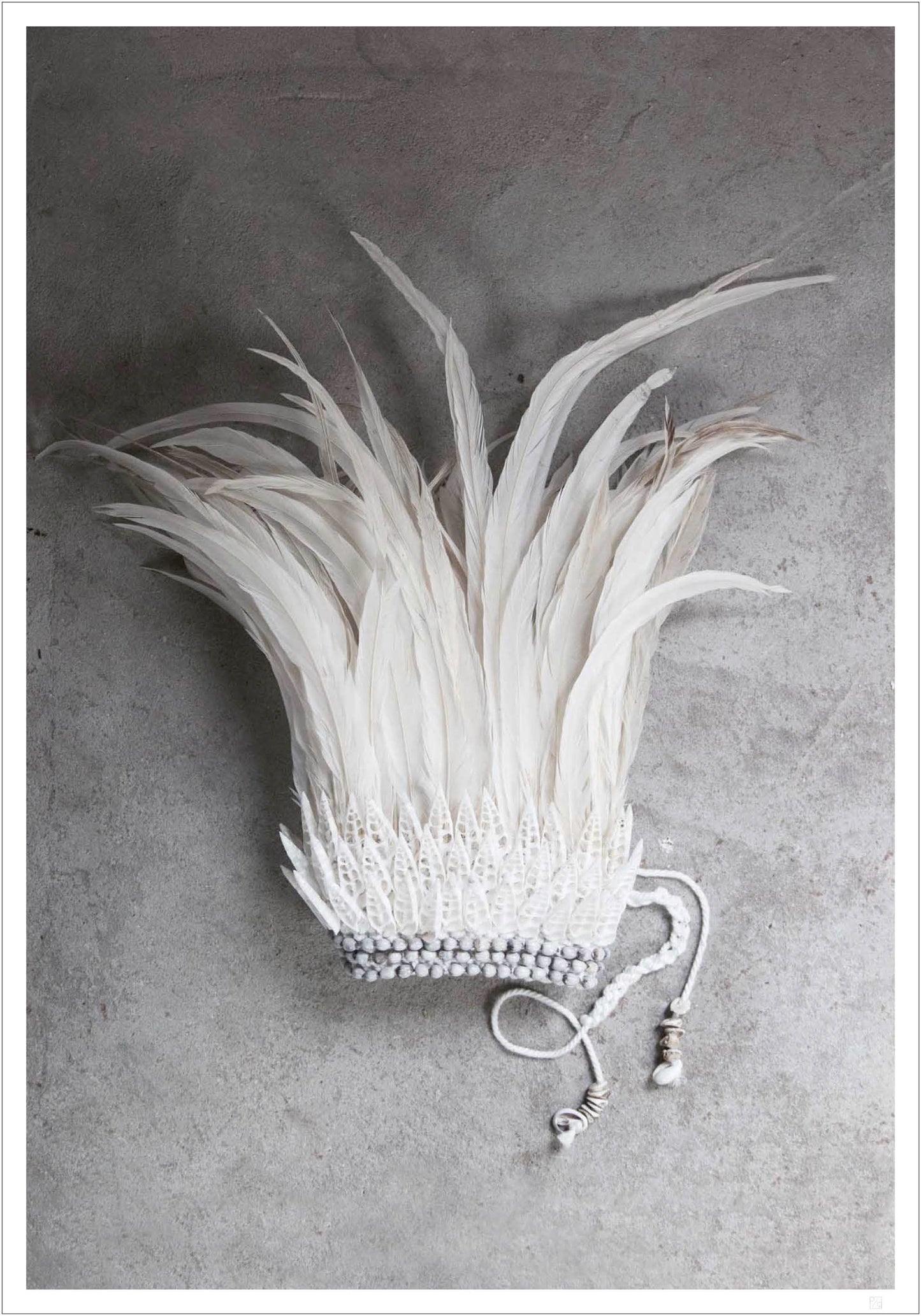 White feather crown