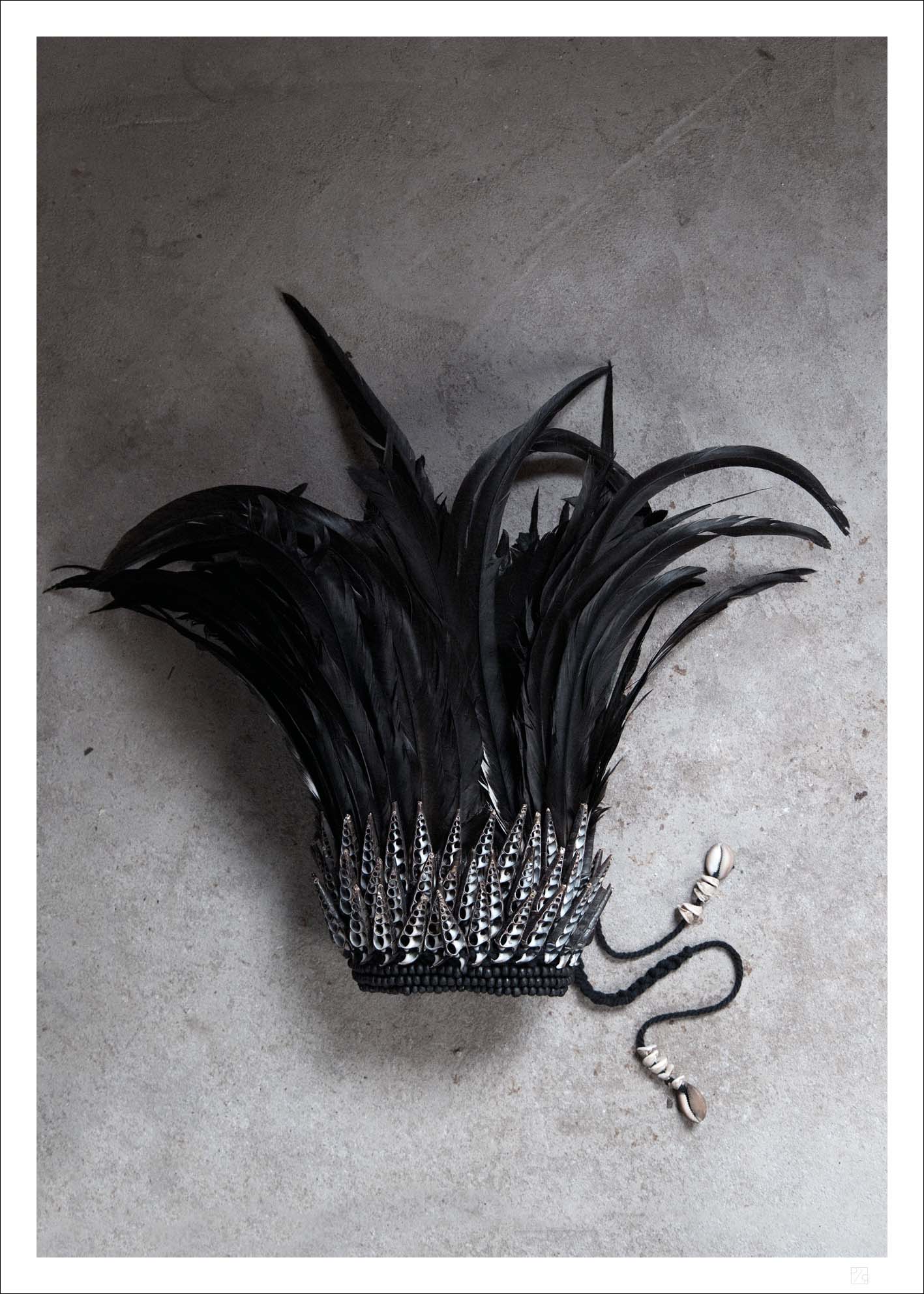 A beautiful crowd made of black feathers. Here you have our black feather crown poster