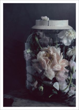 Flowers in a glass jar poster see what you can do with a glass jar and some nice flowers