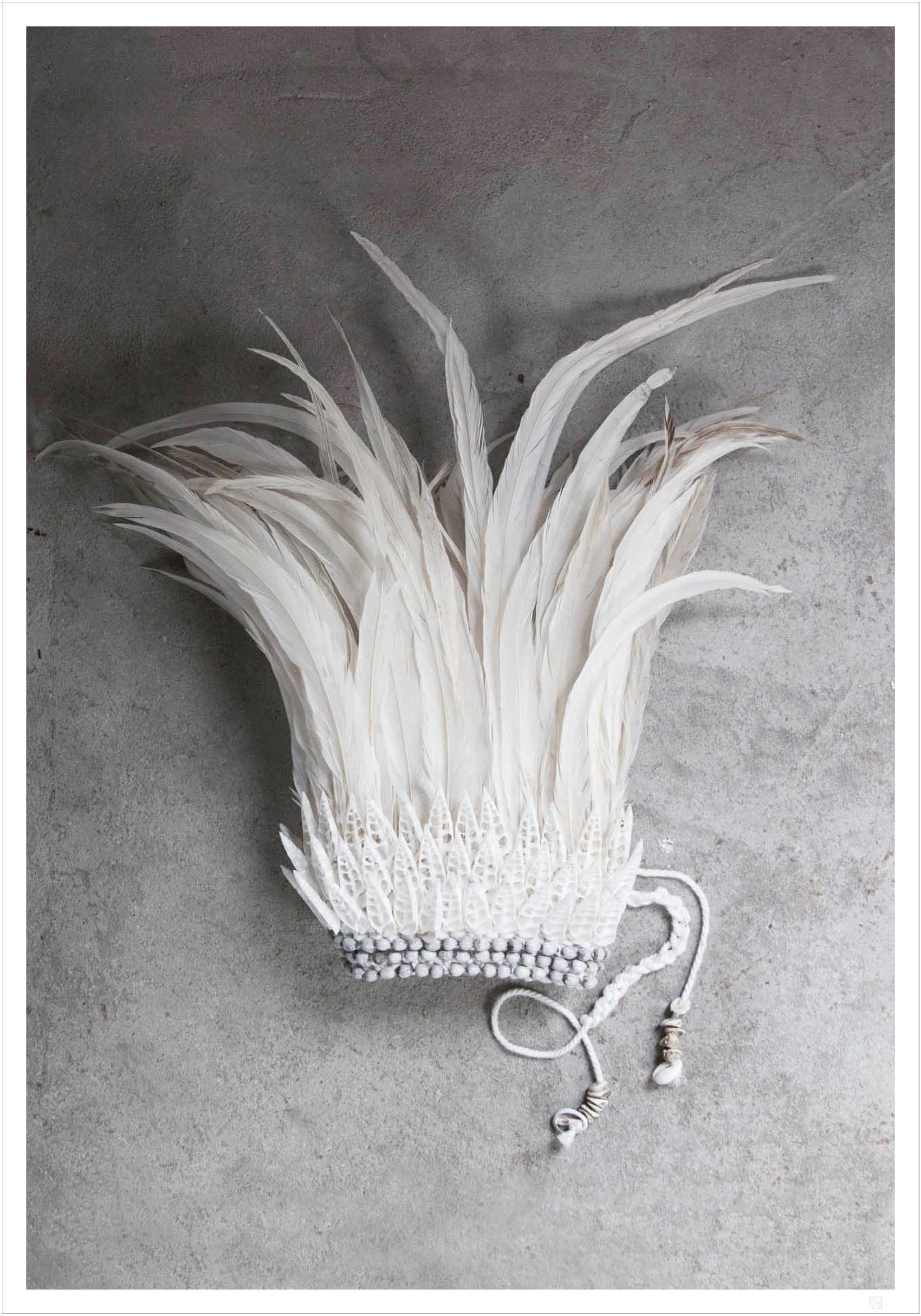 A cron made out of white feathers and you get White feather crown poster